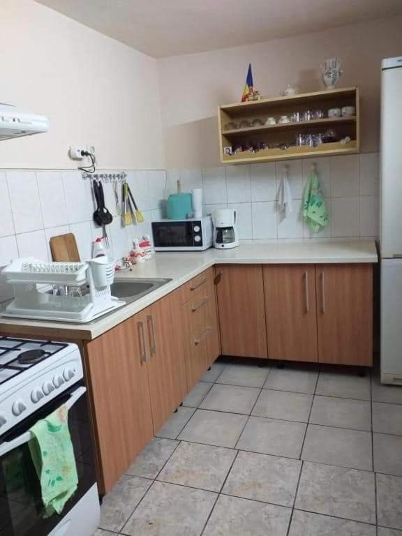 Casa Argentina Vila Cîrţişoara Exterior foto