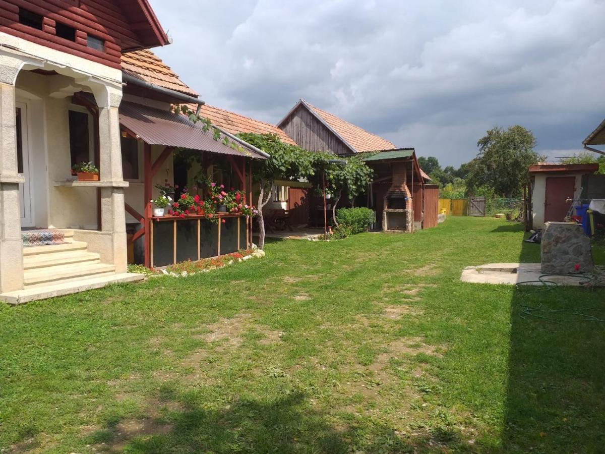 Casa Argentina Vila Cîrţişoara Exterior foto